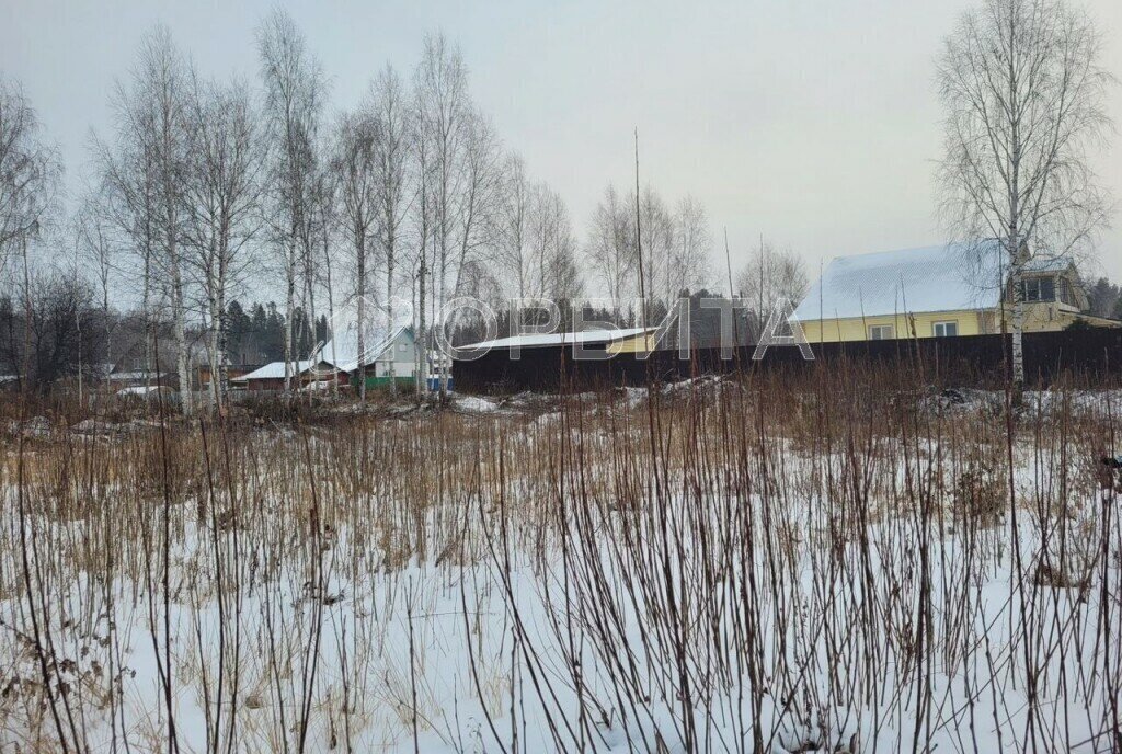 земля р-н Нижнетавдинский с Тюнево ул Новая фото 3