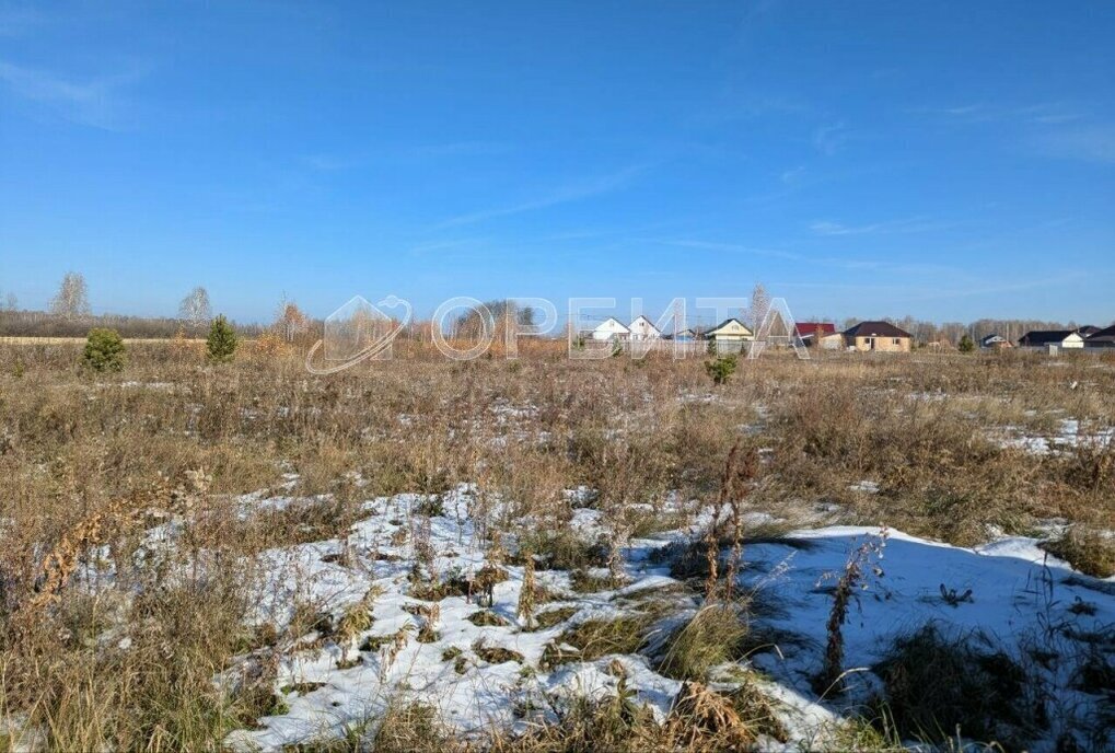 земля р-н Ялуторовский с Киева ул Садовая фото 4