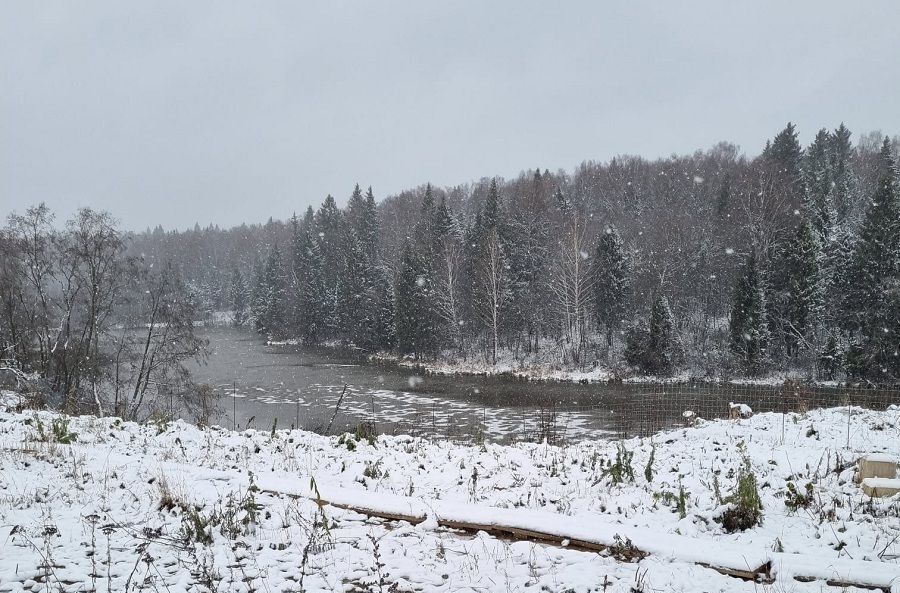 дом городской округ Солнечногорск д Соколово Зеленоград — Крюково фото 8