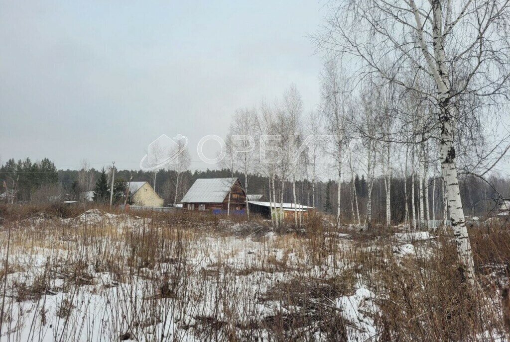 земля р-н Нижнетавдинский с Тюнево ул Новая фото 6