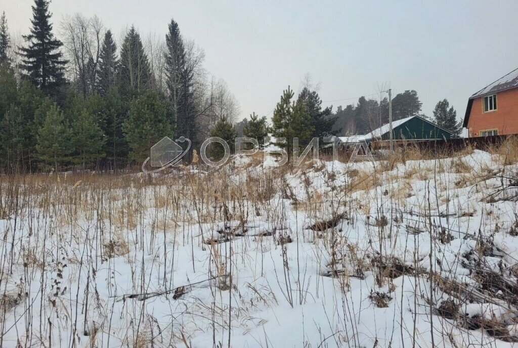 земля р-н Нижнетавдинский с Тюнево ул Новая фото 5