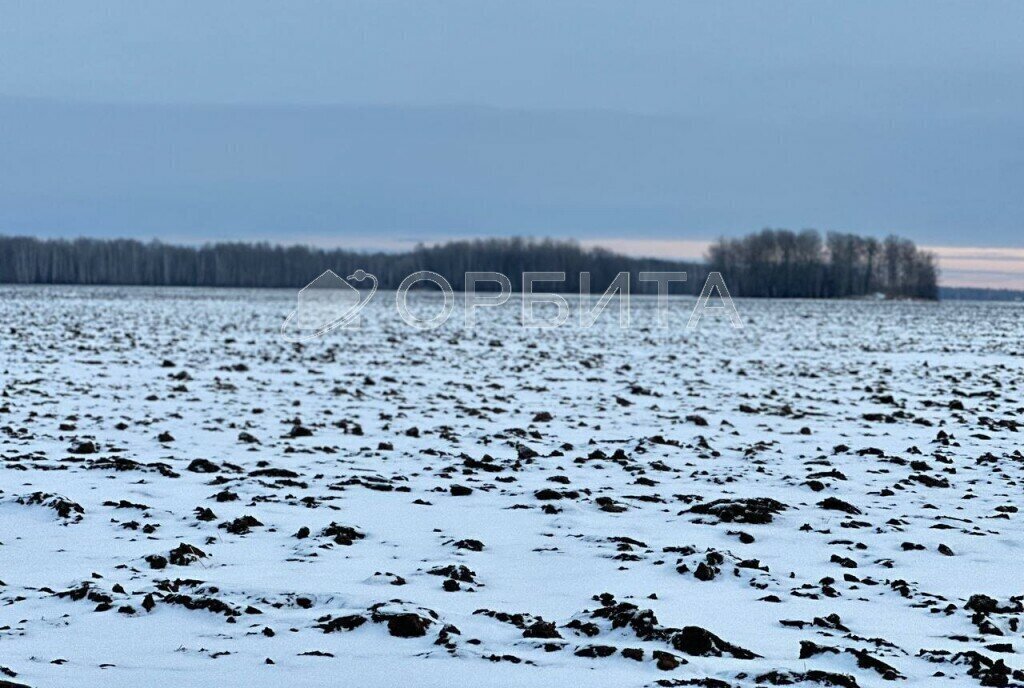 земля р-н Тюменский с Горьковка фото 6