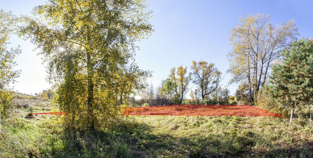 земля р-н Новосибирский дп Кудряшовский сельсовет, Новосибирск фото 3