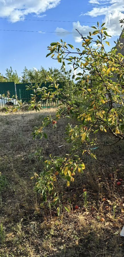 дом р-н Городищенский с Виновка снт Мичуринец-2 Ерзовское городское поселение, 3536, Волгоград фото 5