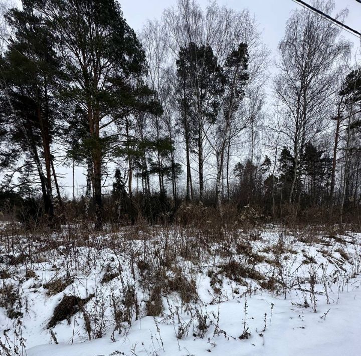 земля городской округ Дмитровский д Каменка фото 5