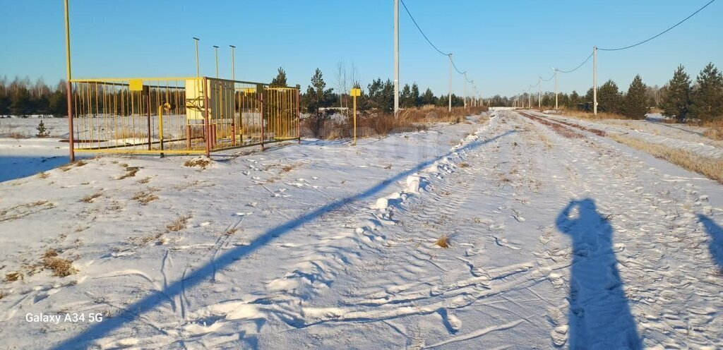 дом р-н Ялуторовский с Сингуль Татарский ул Васильковая фото 10