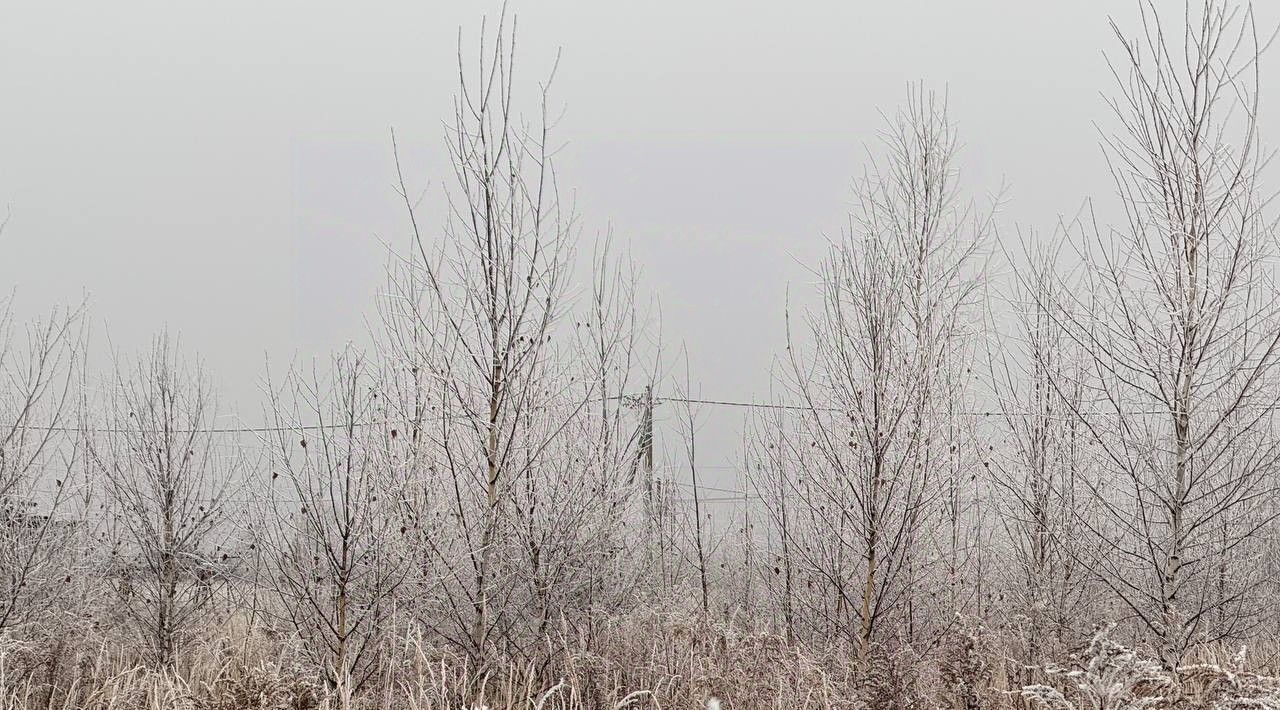 земля городской округ Кашира д Тарасково фото 1