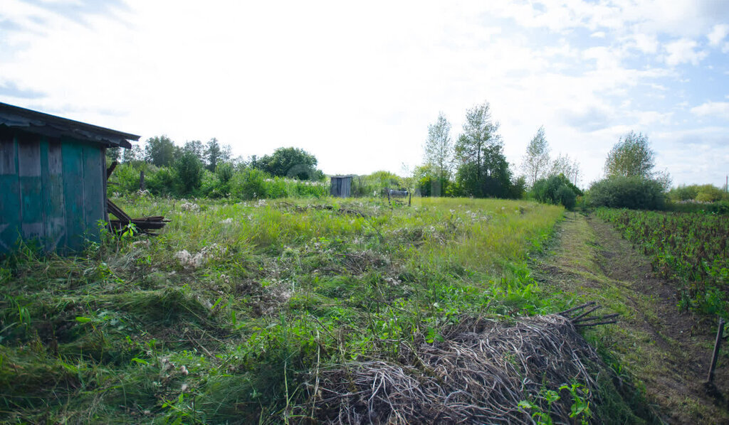 земля г Ялуторовск садово-огородническое некоммерческое товарищество Пустошкино, Лазурная улица фото 1