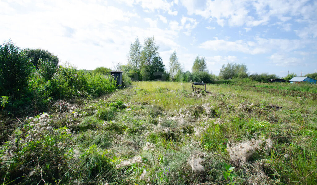 земля г Ялуторовск садово-огородническое некоммерческое товарищество Пустошкино, Лазурная улица фото 4