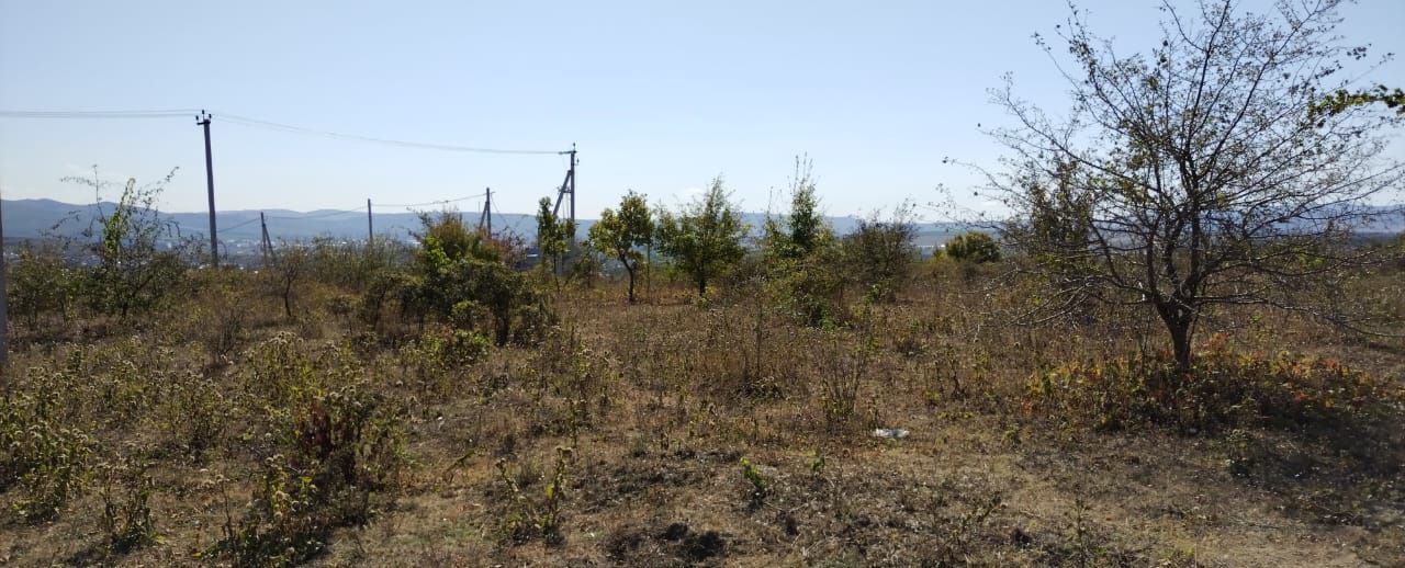 земля г Новороссийск ст-ца Натухаевская фото 2