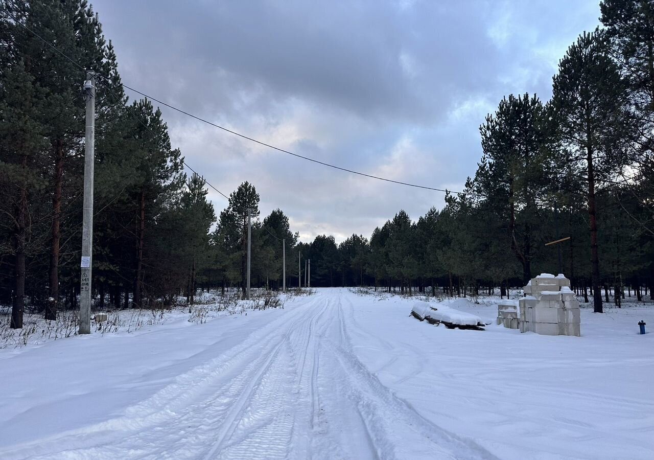 земля г Бор д Ивановское (Краснослободский с/с) фото 1