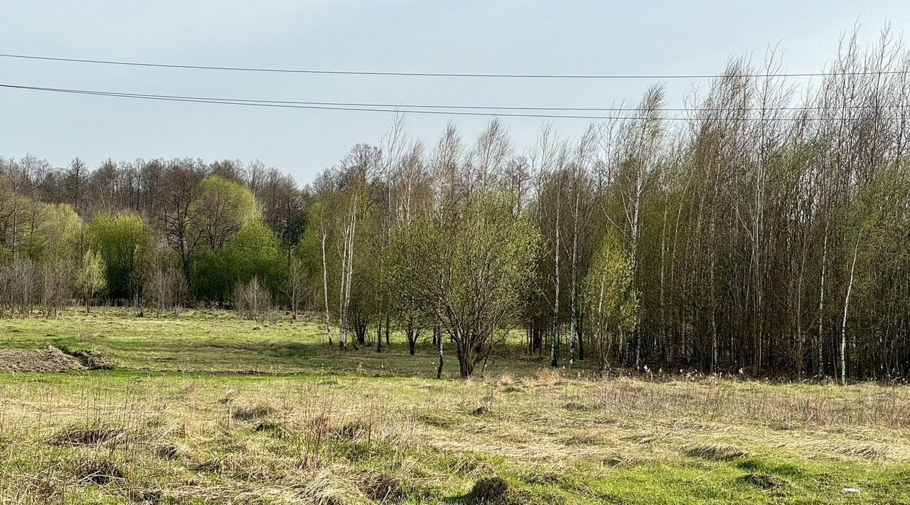 земля городской округ Павловский Посад с Рахманово ул Механизаторов фото 1