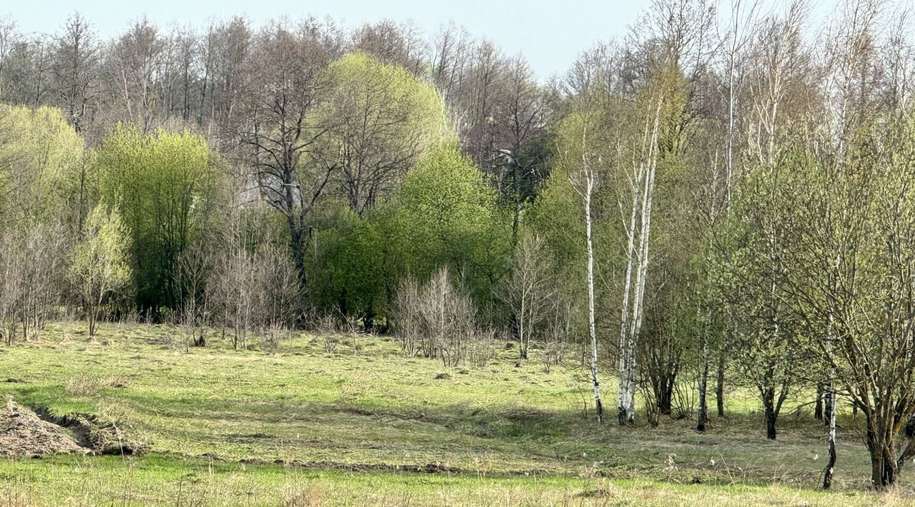 земля городской округ Павловский Посад с Рахманово ул Механизаторов фото 2