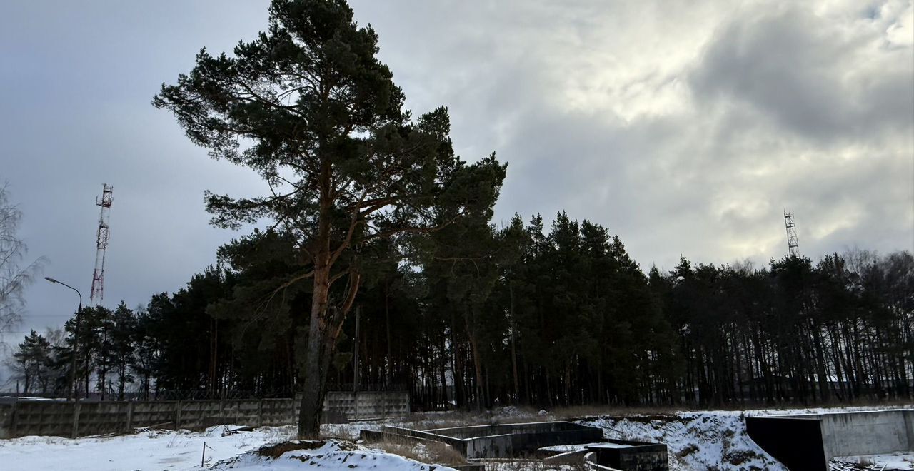 земля направление Горьковское (восток) ш Носовихинское 18 км, Полтевское ш, Электроугли фото 1