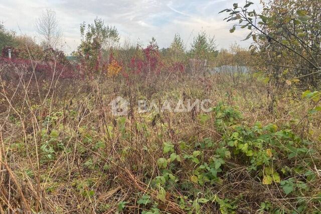 Калуга городской округ, д. Георгиевское фото