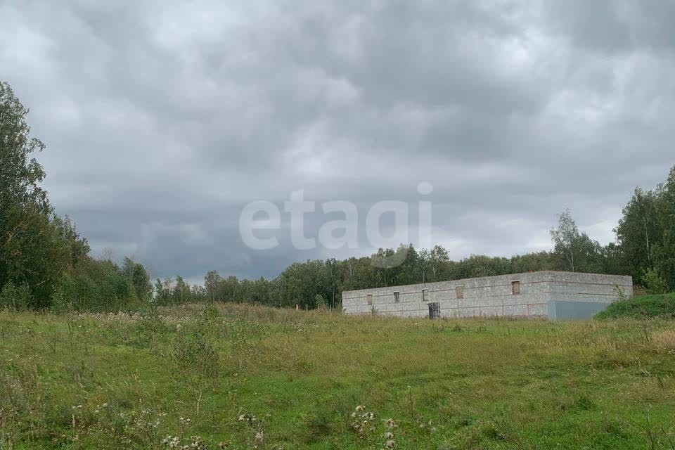 земля г Копейск п Заозерный Копейский городской округ, Лесной м-н фото 3