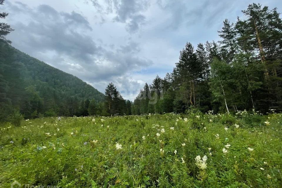 земля р-н Чемальский с. Чемал фото 2