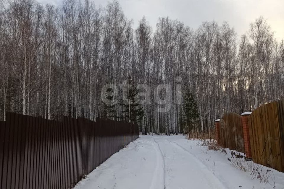 земля Карабашский городской округ, СНТ Русское поле фото 5