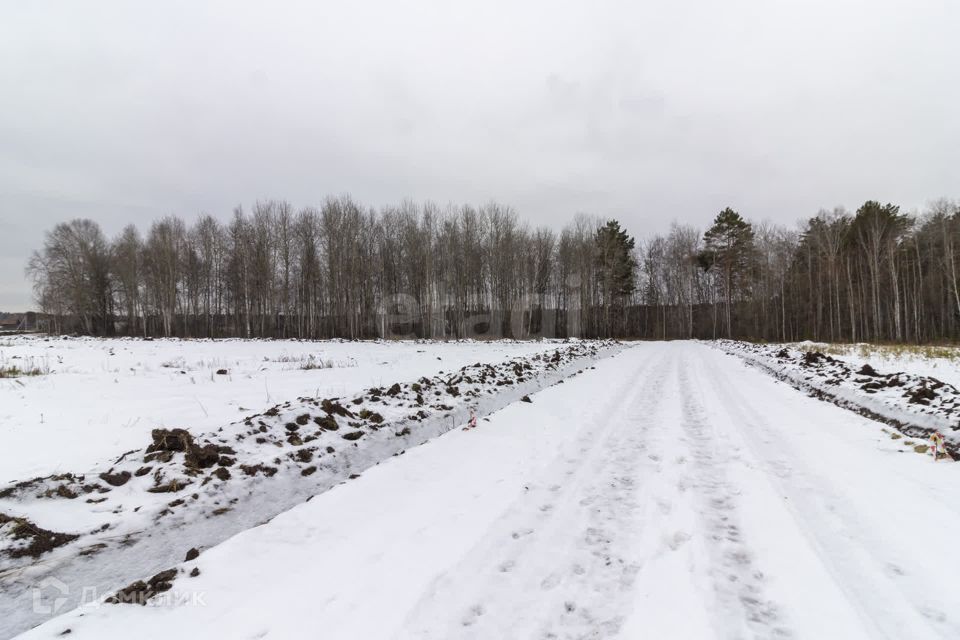 земля р-н Тюменский д. Посохова фото 1