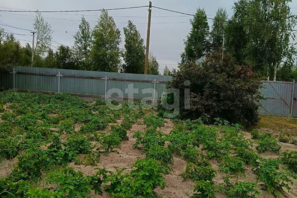 земля г Ханты-Мансийск Аллея почётных граждан Ханты-Мансийского автономного округа - Югры, Ханты-Мансийск городской округ фото 2