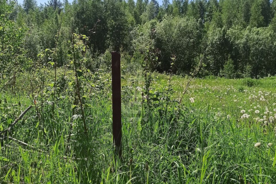 земля г Нижневартовск гск Север, Нижневартовск городской округ фото 3