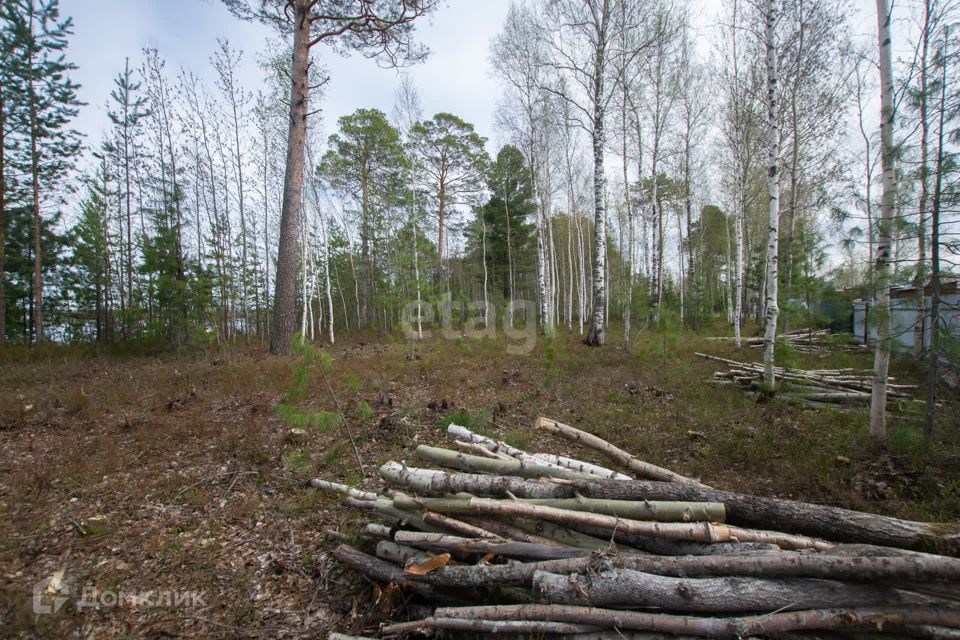 земля г Сургут Сургут городской округ, Кедровый фото 2