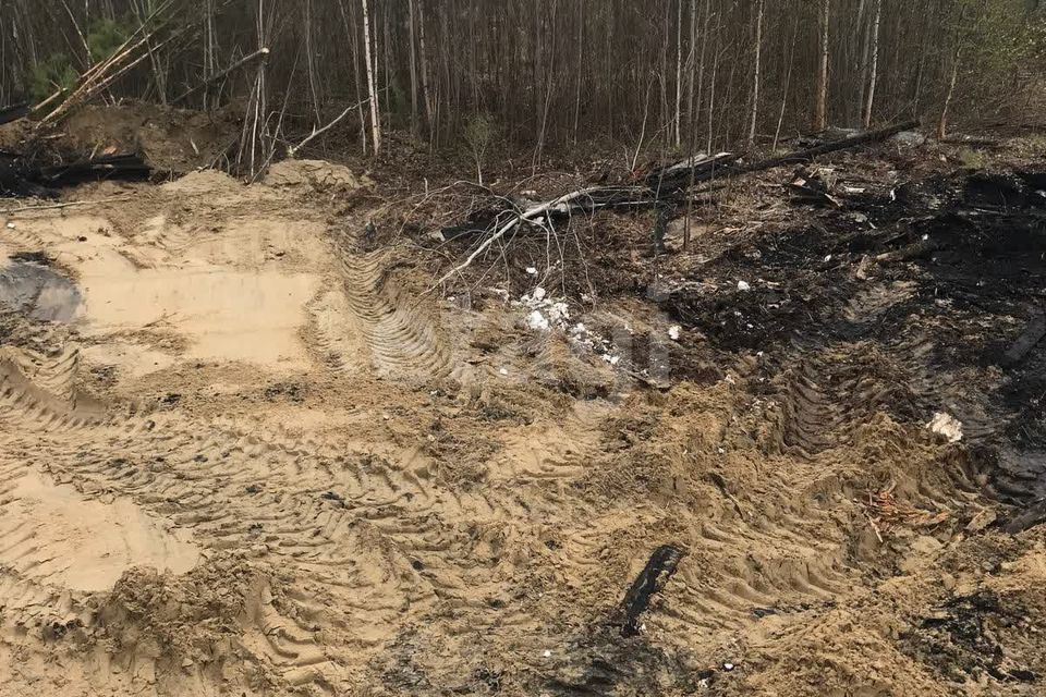 земля г Нягань Нягань городской округ, СМ 19 фото 4