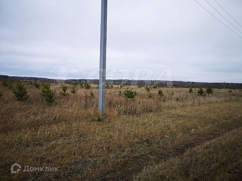 земля р-н Тюменский с. Кулига фото 1