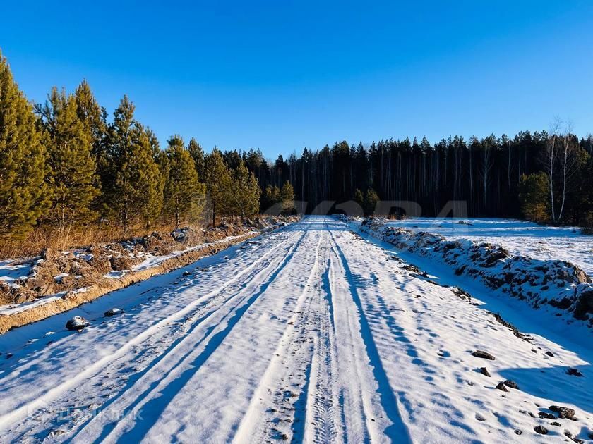 земля р-н Нижнетавдинский с. Тюнево фото 1