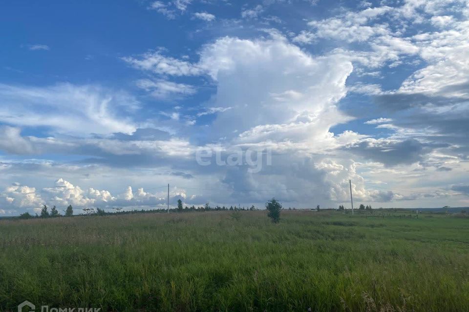 земля р-н Пермский д Большакино ул Центральная 25/1 фото 10