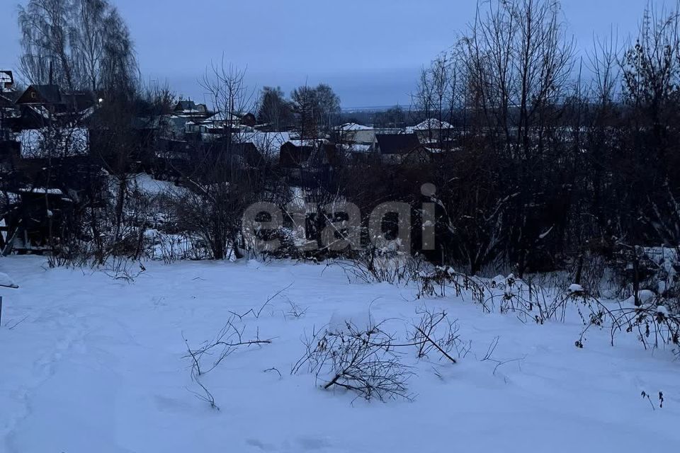 земля Барнаул городской округ, Ерестной фото 6