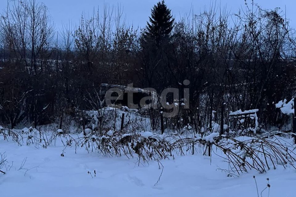 земля Барнаул городской округ, Ерестной фото 7