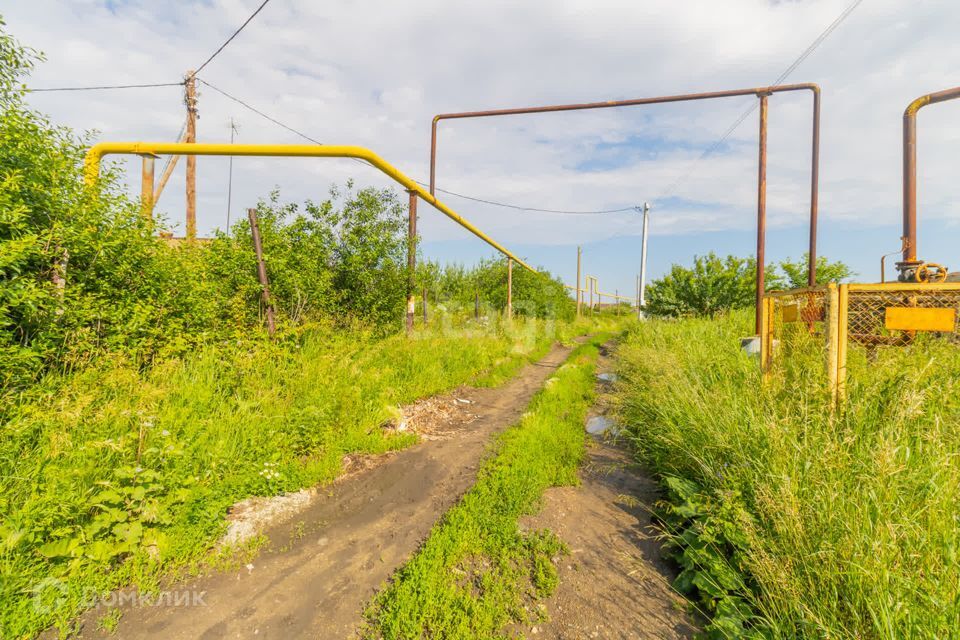 земля р-н Сосновский п Северный Лесная фото 6