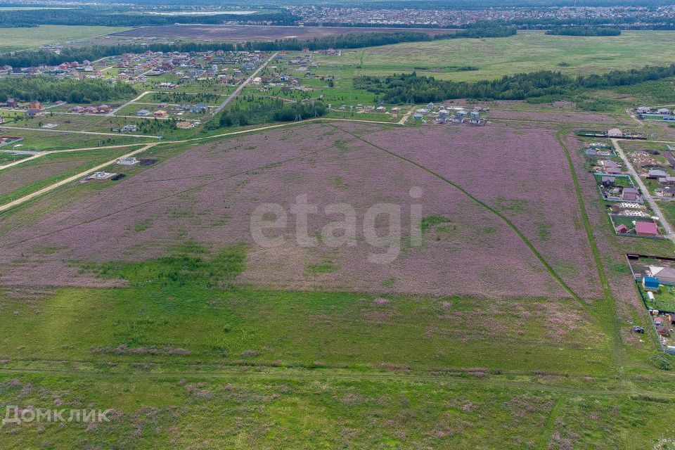 земля р-н Тюменский с Перевалово ул Купеческая фото 10