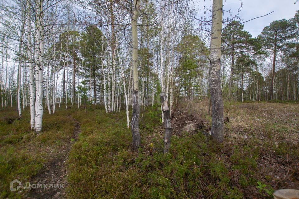 земля г Сургут Сургут городской округ, Кедровый фото 10