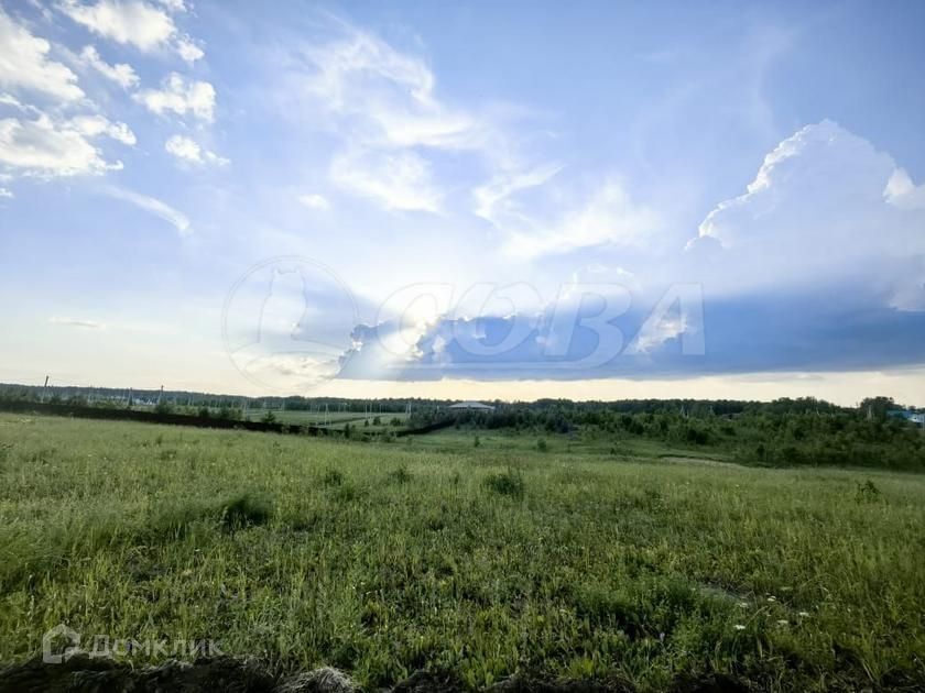 земля р-н Тюменский фото 5