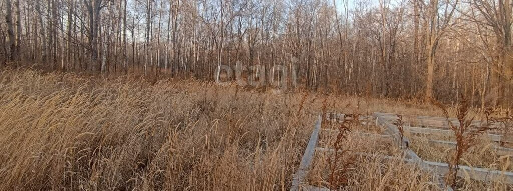 земля р-н Хабаровский снт Южное фото 5