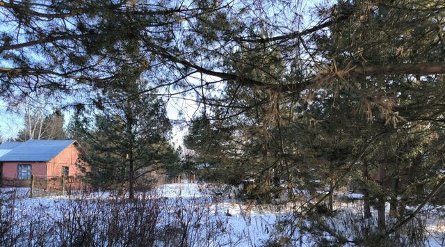 городской округ Раменский д Глебово ул Родниковая 22 Раменское фото