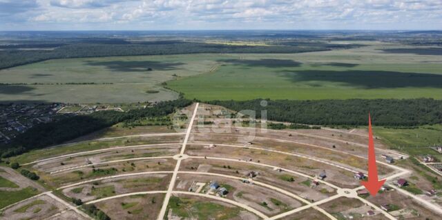 земля Московское шоссе, 19 км, Пудомягское сельское поселение, 2, Санкт-Петербург, массив Дачный - фото