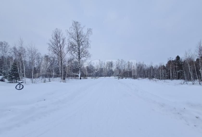 земля р-н Тюменский с Перевалово ул 8 Марта Тюмень фото 2