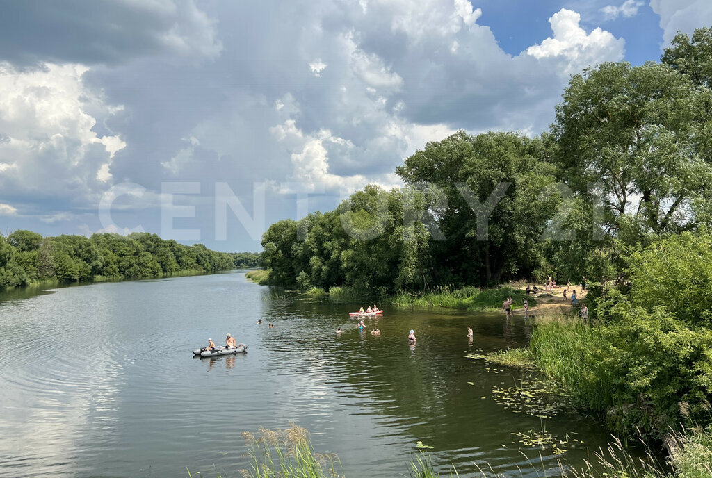 земля р-н Данковский с Требунки ул Центральная 247 фото 12