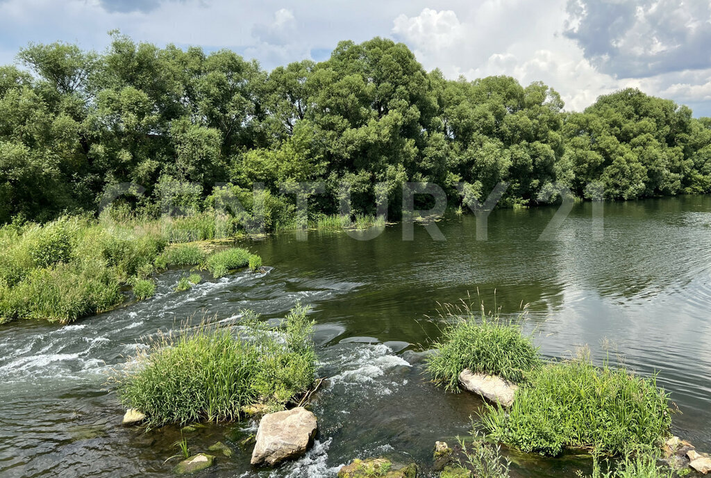 земля р-н Данковский с Требунки ул Центральная 247 фото 11