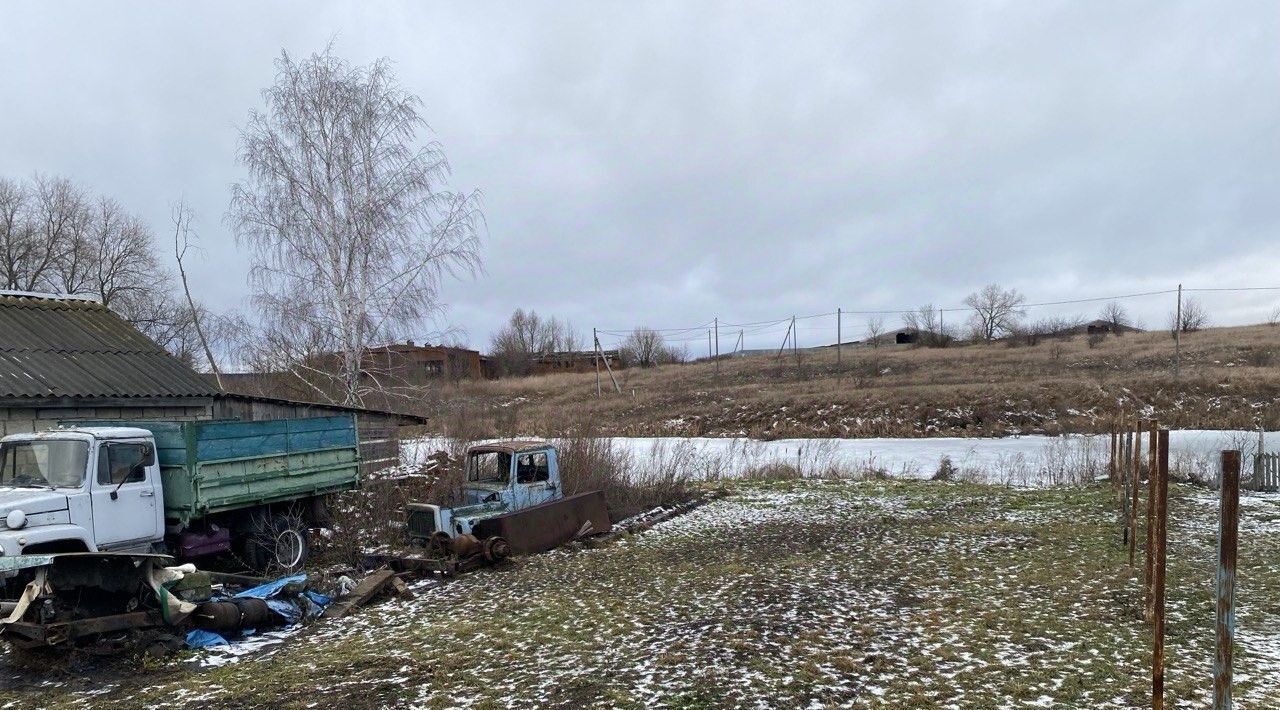 офис городской округ Серебряные Пруды п Дмитриевский фото 2