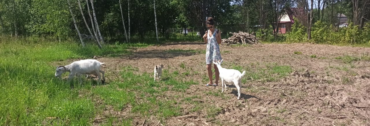 земля городской округ Можайский д Горетово фото 1