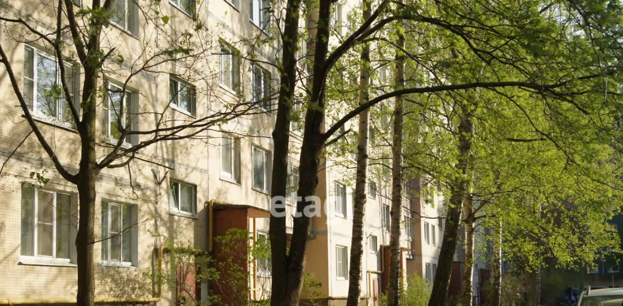 квартира г Колпино ул Октябрьская 63 Шушары фото 30