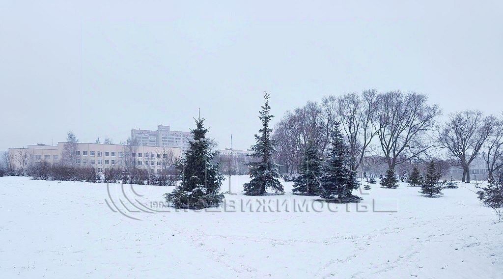 квартира г Санкт-Петербург метро Проспект Просвещения пр-кт Просвещения 46к/1 фото 16