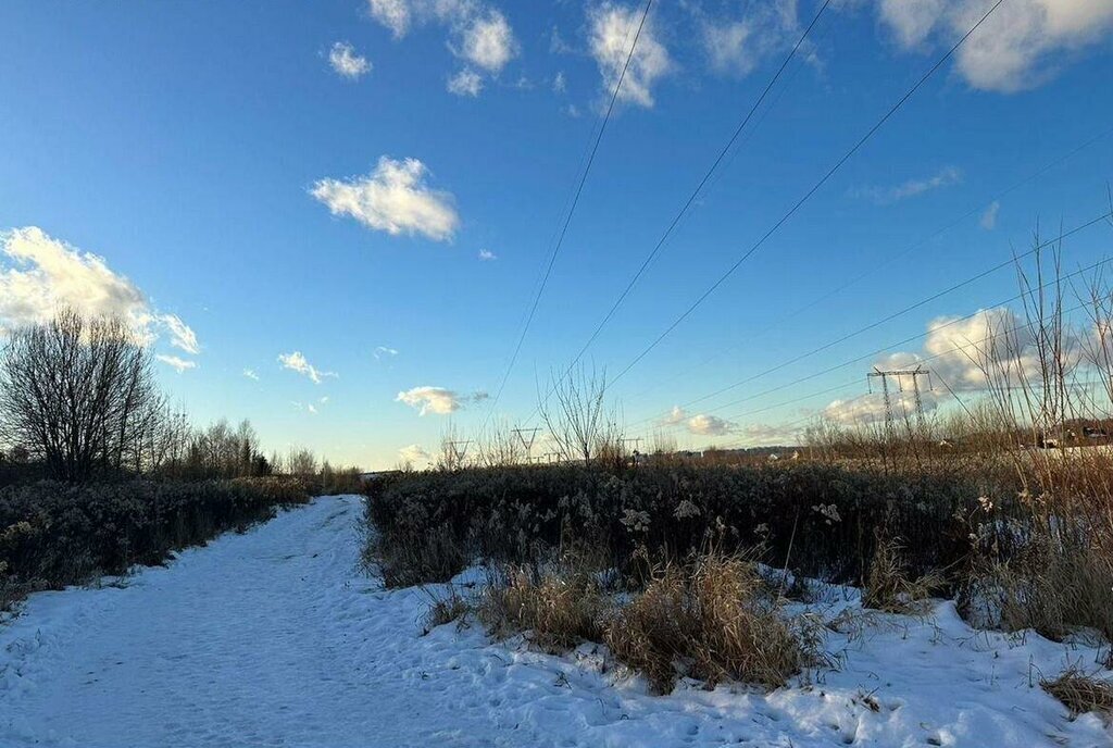 земля городской округ Люберцы д Мотяково Некрасовка фото 3