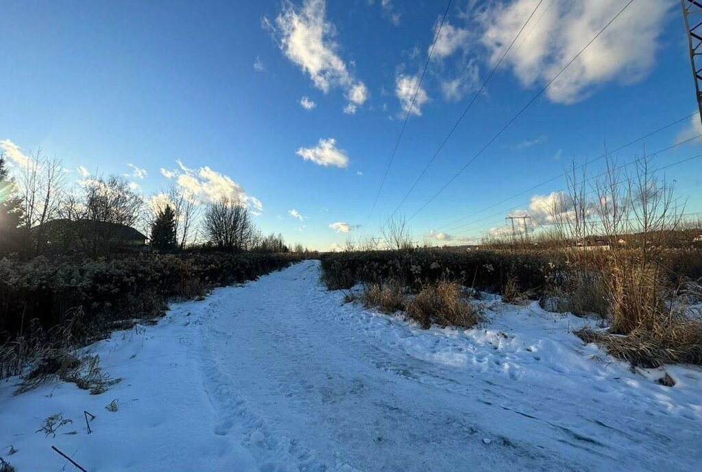 земля городской округ Люберцы д Мотяково Некрасовка фото 4