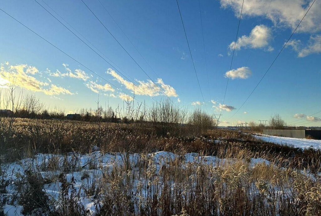 земля городской округ Люберцы д Мотяково Некрасовка фото 12