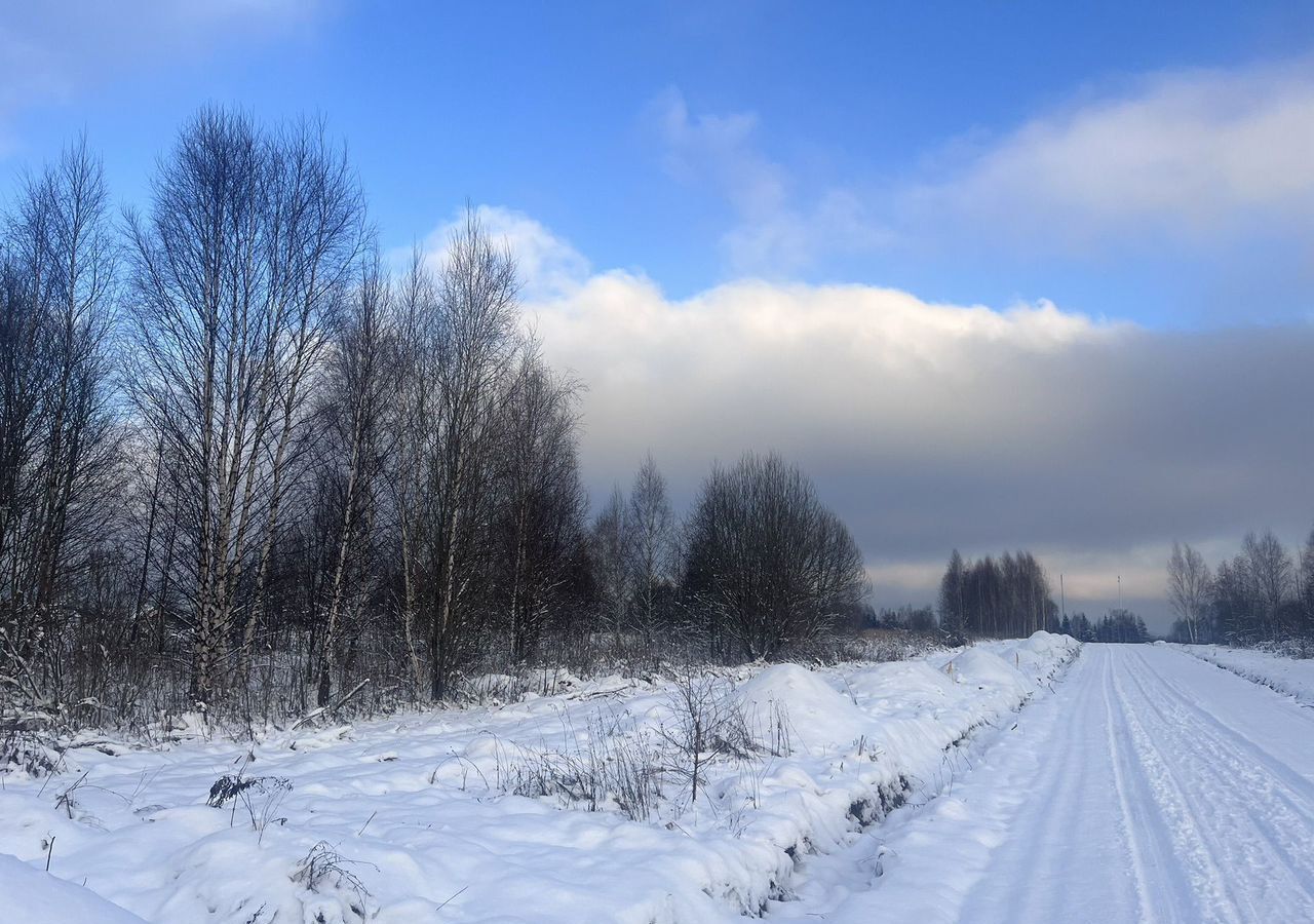 земля городской округ Пушкинский п Софрино 30 км, коттеджный пос. Новое Бортнево, 64, Ярославское шоссе фото 4